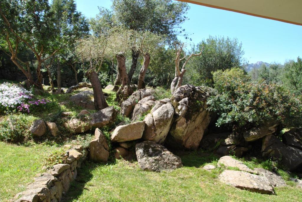 Sa Jaga Brujada Residence - Simar Vacanze Porto Rotondo Exteriér fotografie