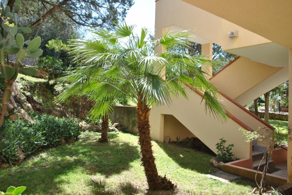 Sa Jaga Brujada Residence - Simar Vacanze Porto Rotondo Exteriér fotografie